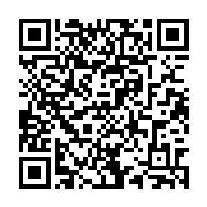 可偏偏每一次都能在最危机的时刻避开水龙的攻击二维码生成