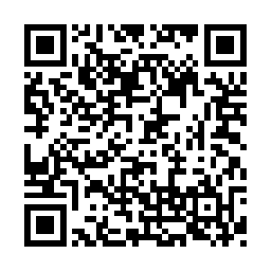 可刚才那青年无角人已经明确说出他就是炼制者二维码生成