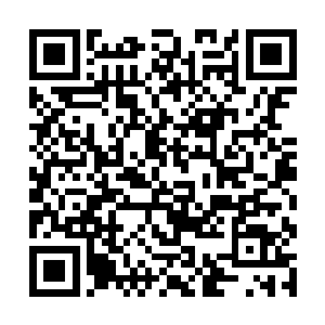 可华宝强怎么突然间跑到圣兰中学门口朝自己喊救命二维码生成