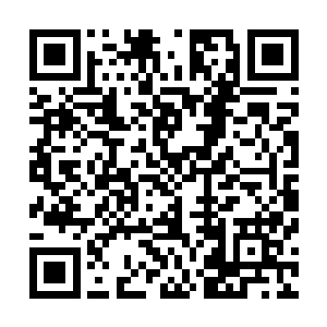 可却也是龙族历史上第一条从来没有真正接触过大海的神龙二维码生成