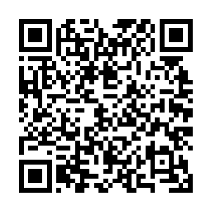 可变化万物的苍云圣火也将火鸟当成了自己的原初形体二维码生成