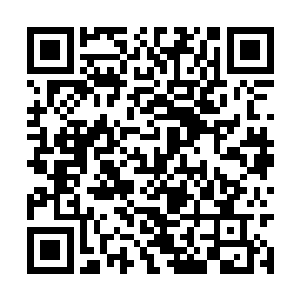 可因为她的灵魂中还记得原主曾经的那一世的记忆二维码生成