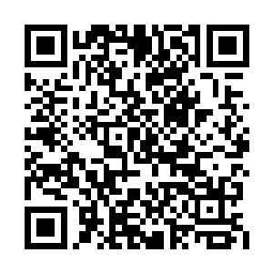 可因为生物体本身的界限让他始终无法突破瓶颈二维码生成