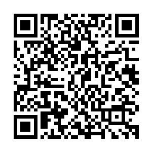 可壮年穿沙甲并不觉得面前这只高大的畸形穿沙甲能帮助它什么二维码生成