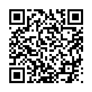 可多纳战士却被他带的一直在踩踏那些灌木二维码生成