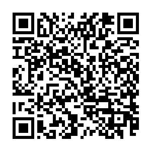 可大部分还是只有默默忍耐这种看起来不知道什么时候是尽头的灾难生活二维码生成