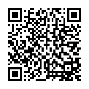 可奇怪的是这些原本应当守在小老鼠身边的老鼠妈妈却不敢下来二维码生成