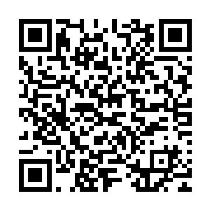 可奈何腹腔内五脏六腑都在这一刻仿佛被搁在了烈火之上一般二维码生成