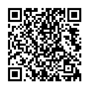 可她和楚子厚的离开又不仅仅是为了避开风头还是有任务在身的二维码生成