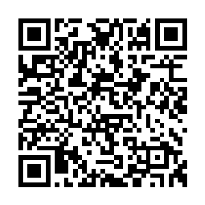 可她想要靠着魔气来粉碎夏天的神魂就差的远了二维码生成