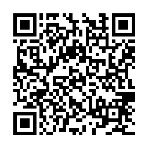 可如今他遇到了比他更擅长操纵修罗海力量的愤怒二维码生成