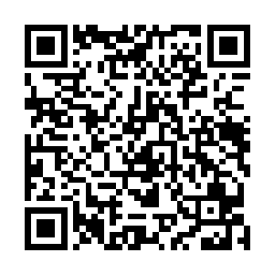 可如今就算摩那耶想命令那些域主们打造伪王主都不可能二维码生成
