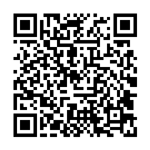 可如果他炼制出能让普通人也能操纵的治疗骨器二维码生成