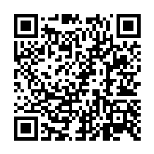 可安齐远却知道以他的性子不可能这样滥杀无辜二维码生成