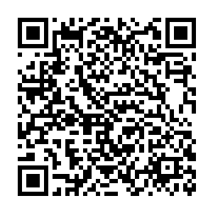 可实际上她也是大师级的高手……对付真正的高手或许是差了许多二维码生成