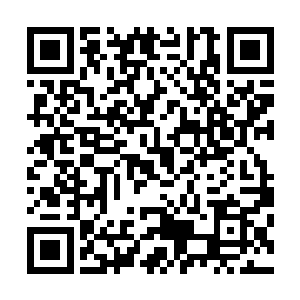 可对于修为更胜他一筹的巨臂而归而言却无疑是肉包子打狗二维码生成