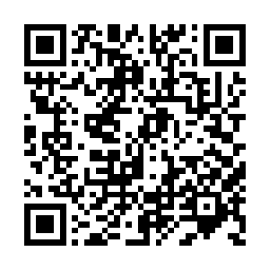 可对于这些大多来自小门小派的玄学界修士而言二维码生成