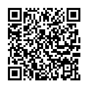可对巴克忙活的事情又睁大眼睛尽量探起头想看二维码生成