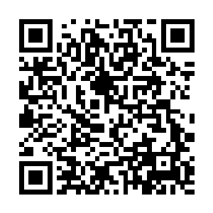 可就在叶秋苦思冥想着自己要如何打发这难得的七天时二维码生成