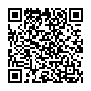 可就是这样一掌推出去和赤龙的攻击对碰在一起二维码生成