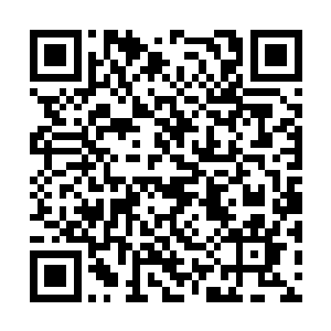 可很快他在树下发现了半截血淋淋的鹿的骸骨……二维码生成