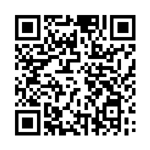 可很难得在城里面见到这个样子的树林子了二维码生成