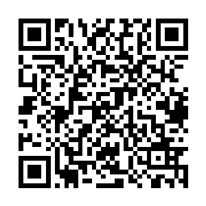 可怎么也没想到苏门的父亲竟然是那样一位大人物二维码生成