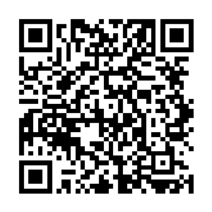 可怕的力量将暴龙公子庞大的身躯轰击的狠狠坠到地上二维码生成