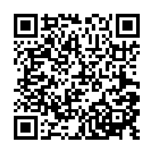 可怜的偷渡客……事到如今你还不明白自己的命运么二维码生成