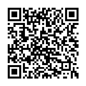 可惜了那六艘船上的那些蒋家秘密组织里的人啊二维码生成