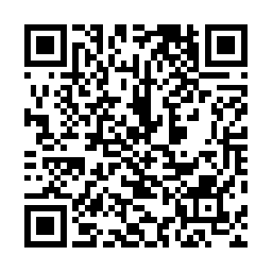 可惜他的老家人已经颤巍巍地从一个院子里开门迎了出来二维码生成