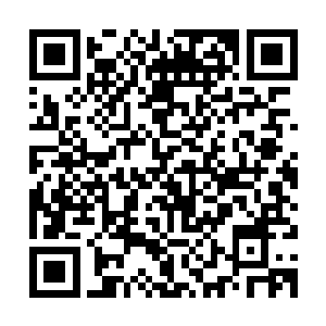 可惜吴陀一个照面就被孟猊用诸犍的瞳仁跟内丹撞出的死亡之光二维码生成