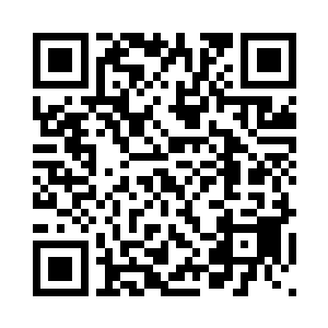 可惜在自身的进化上却是停滞不前二维码生成