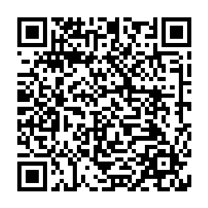 可惜的是这三人就像是傻子一样就这么坐拥着冰箱里满是食特的船被饿死了二维码生成