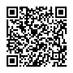 可惜还没见到我教崛起就惨死在伪神走狗的手里二维码生成