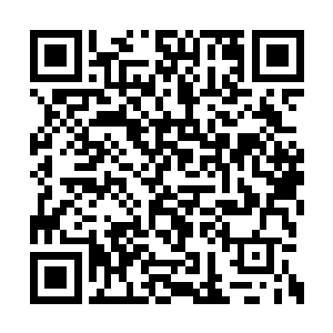 可惜这个怒啸最终也就只有他自己才能听到而已二维码生成