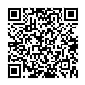 可惜这副模样在叶璃看起来却像是父亲抱着儿子喂食二维码生成