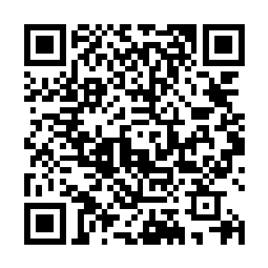 可惜陈学智两口子一心等儿子回来商量后再决定怎么掏二维码生成