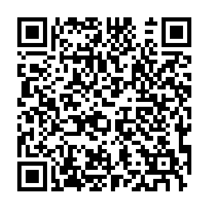 可惜黑龙只是随口说了句争斗者罗格是龙神哈特森豢养的一头宠物二维码生成