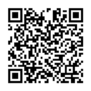 可想而知他们两个也应该没有碰触到识海内的那个关团二维码生成