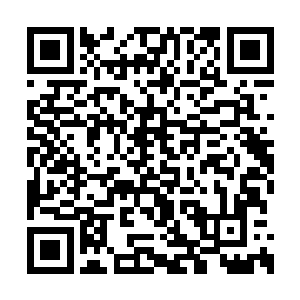 可想而知苏落跟曜日军团的仇恨又会更深几分了二维码生成