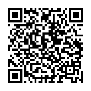 可我却忍不住的想着魏厨子听到这个消息时会是什么表情二维码生成