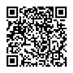 可我只有那么一个母亲……听说还有母亲的兄弟姐妹们二维码生成