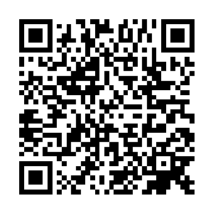 可战无痕分明感觉到自己体内有一股玄妙的力量被抽走了二维码生成