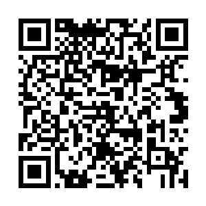 可按理说苗毅出来后第一个联系的应该是自己才对二维码生成