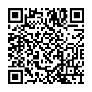 可整棵树的身姿却是嚣张任性的一味冲向了墙外二维码生成