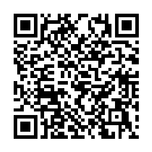 可方才还跟在她身边的北北此刻也不知道去了哪里二维码生成