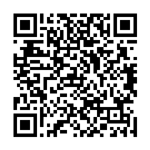 可明明那枪声就是从自己周围什么地方的建筑传来的好不好二维码生成