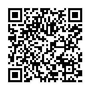 可是··难道是因为本体觉醒的原因把之前的辅记忆弄混乱了么二维码生成