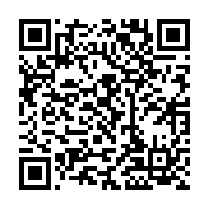 可是……现在看到君无妄和苏小爱两人找到了这里来二维码生成